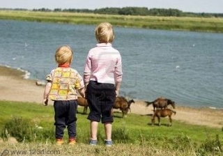  Freunde fürs Leben 